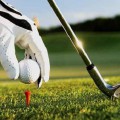 7 Mẹo Về Cách Bảo Quản Gậy Golf Chuẩn Được Nhiều Người Áp Dụng