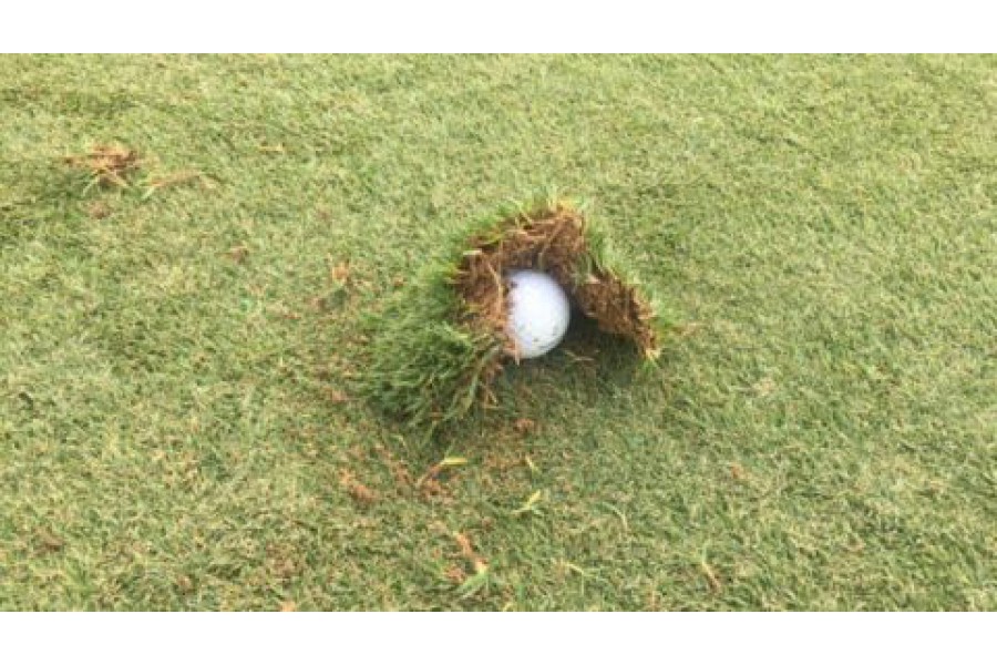 Kinh nghiệm xử lý bóng nằm dưới vết divot cho golfer