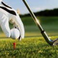 OB là gì? Hình phạt OB và những điều golfer cần biết