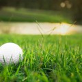 Các loại thảm tập golf phổ biến trên thị trường