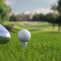 Sân tập golf: Kích thước bao nhiêu mới đúng là tiêu chuẩn?