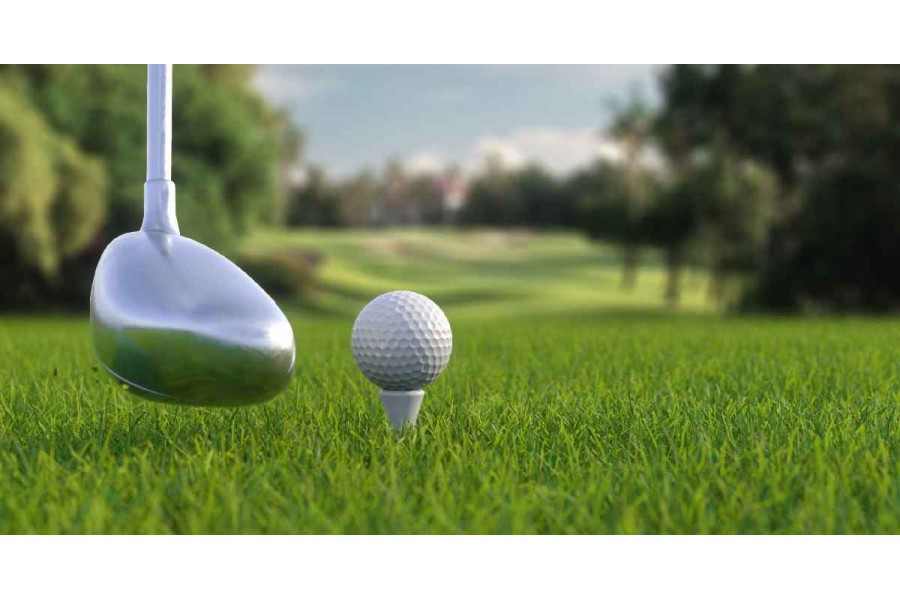 Sân tập golf: Kích thước bao nhiêu mới đúng là tiêu chuẩn?
