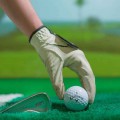 Kinh doanh phòng golf 3D: nhà đầu tư nhận được gì?
