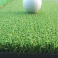 Lưới Tập Golf Dùng Làm Gì? Cách Chọn Lưới Tốt Và Bền Nhất