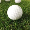 Hướng dẫn cách chọn bóng Golf tốt nhất cho các golfer