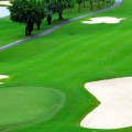Thi công green cỏ nhân tạo: Các để cỏ nhân tạo sân golf luôn bền