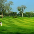 Phân biệt thi công sân golf Putting Green cỏ thật và cỏ nhân tạo