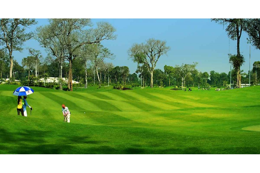 Phân biệt thi công sân golf Putting Green cỏ thật và cỏ nhân tạo