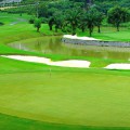 Quá trình thi công sân tập golf