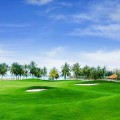 Sân tập golf – Kiến thức bạn cần biết