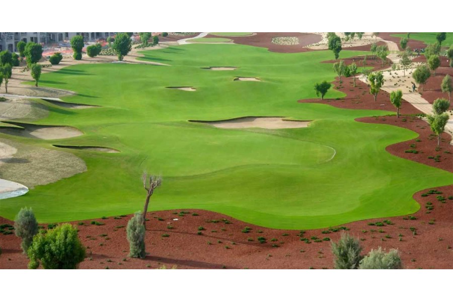 Sân tập golf - Nơi rèn luyện kỹ năng và nâng cao thể lực cho golf thủ