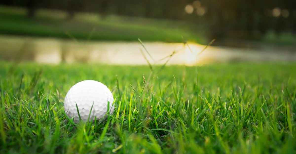 Các loại thảm tập golf phổ biến trên thị trường